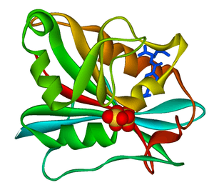 thumbnail of dbpedia resource