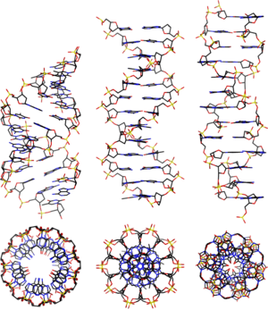 thumbnail of dbpedia resource