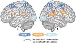 thumbnail of dbpedia resource