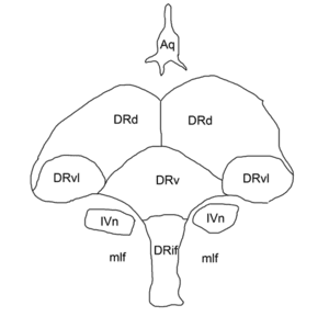 thumbnail of dbpedia resource