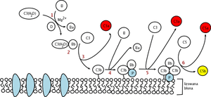 thumbnail of dbpedia resource