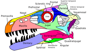 thumbnail of dbpedia resource