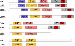 thumbnail of dbpedia resource