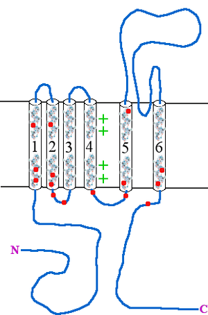 thumbnail of dbpedia resource