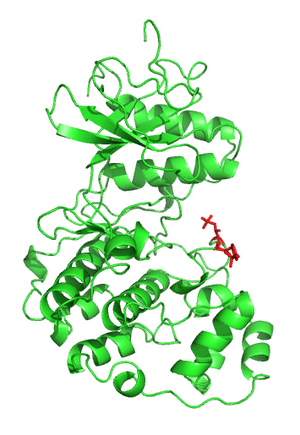 thumbnail of dbpedia resource