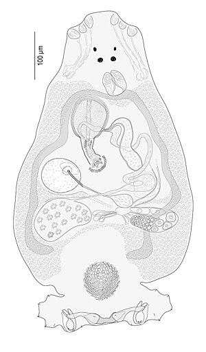 thumbnail of dbpedia resource