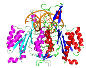 thumbnail of dbpedia resource