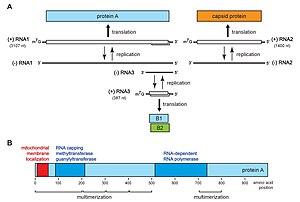 thumbnail of dbpedia resource