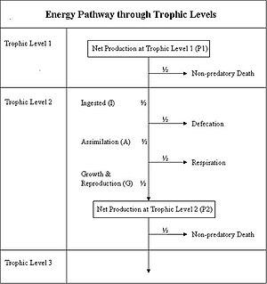 thumbnail of dbpedia resource