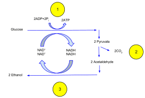 thumbnail of dbpedia resource