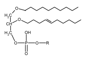 thumbnail of dbpedia resource