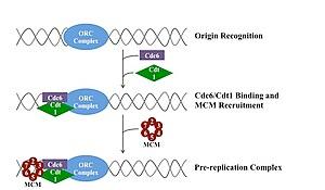 thumbnail of dbpedia resource