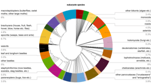 thumbnail of dbpedia resource