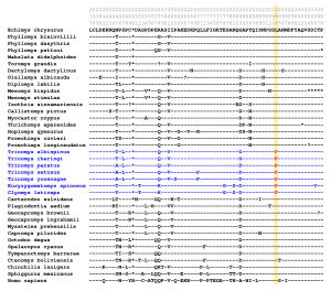 thumbnail of dbpedia resource