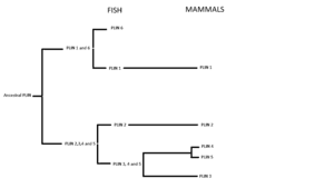 thumbnail of dbpedia resource