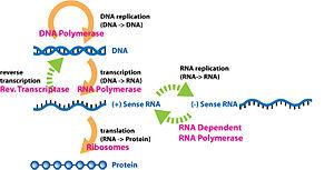 thumbnail of dbpedia resource