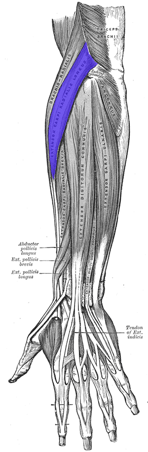 thumbnail of dbpedia resource