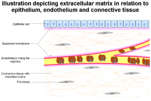 thumbnail of dbpedia resource