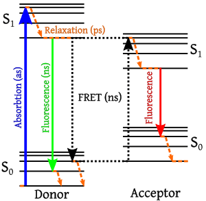 thumbnail of dbpedia resource