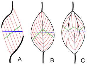 thumbnail of dbpedia resource