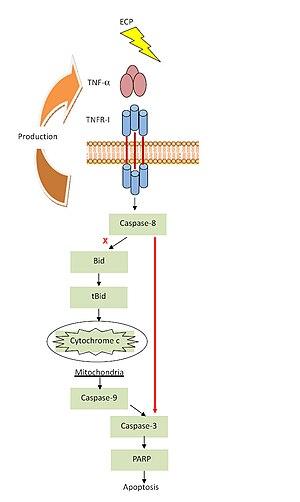 thumbnail of dbpedia resource