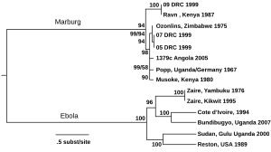 thumbnail of dbpedia resource