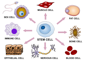 thumbnail of dbpedia resource