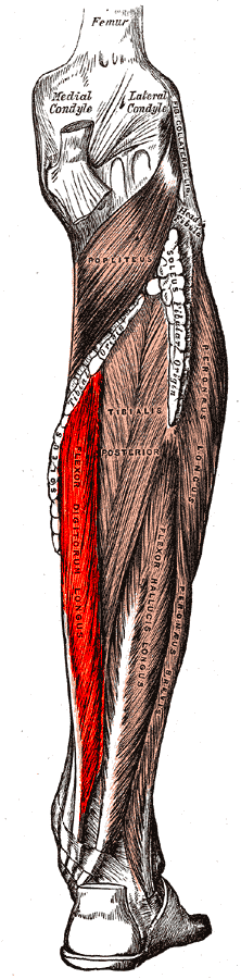 thumbnail of dbpedia resource