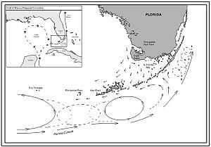 thumbnail of dbpedia resource