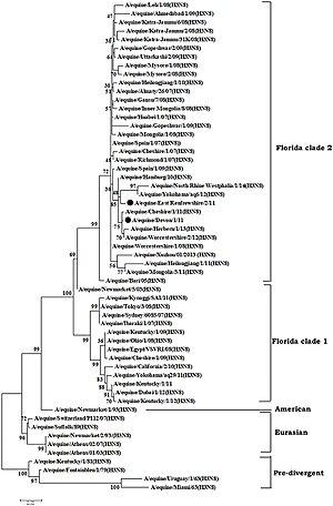 thumbnail of dbpedia resource