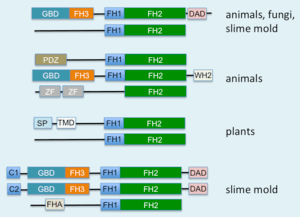 thumbnail of dbpedia resource