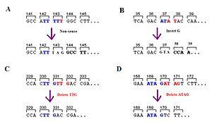 thumbnail of dbpedia resource