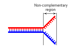 thumbnail of dbpedia resource