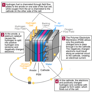 thumbnail of dbpedia resource