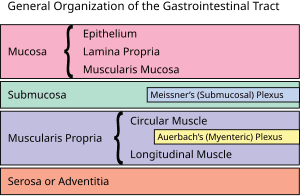 thumbnail of dbpedia resource