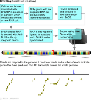 thumbnail of dbpedia resource