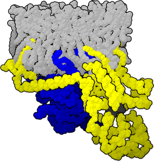 thumbnail of dbpedia resource