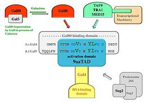 thumbnail of dbpedia resource