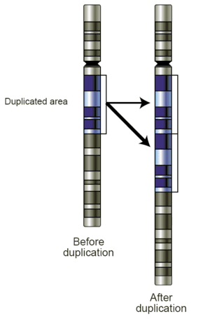 thumbnail of dbpedia resource