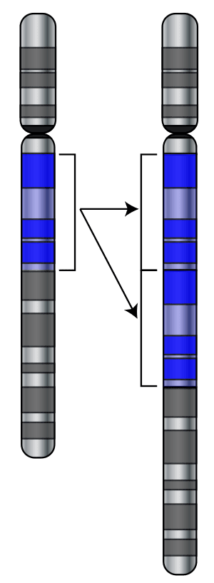 thumbnail of dbpedia resource