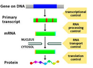 thumbnail of dbpedia resource