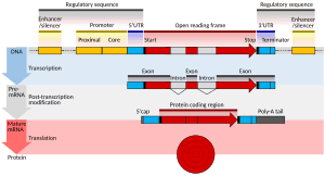 thumbnail of dbpedia resource