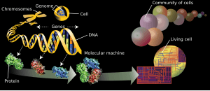 thumbnail of dbpedia resource