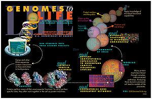 thumbnail of dbpedia resource