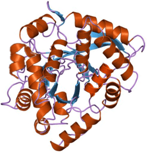 thumbnail of dbpedia resource