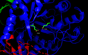 thumbnail of dbpedia resource