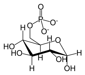 thumbnail of dbpedia resource