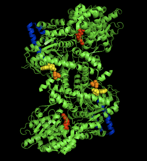 thumbnail of dbpedia resource