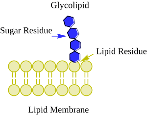 thumbnail of dbpedia resource