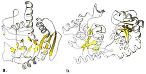 thumbnail of dbpedia resource